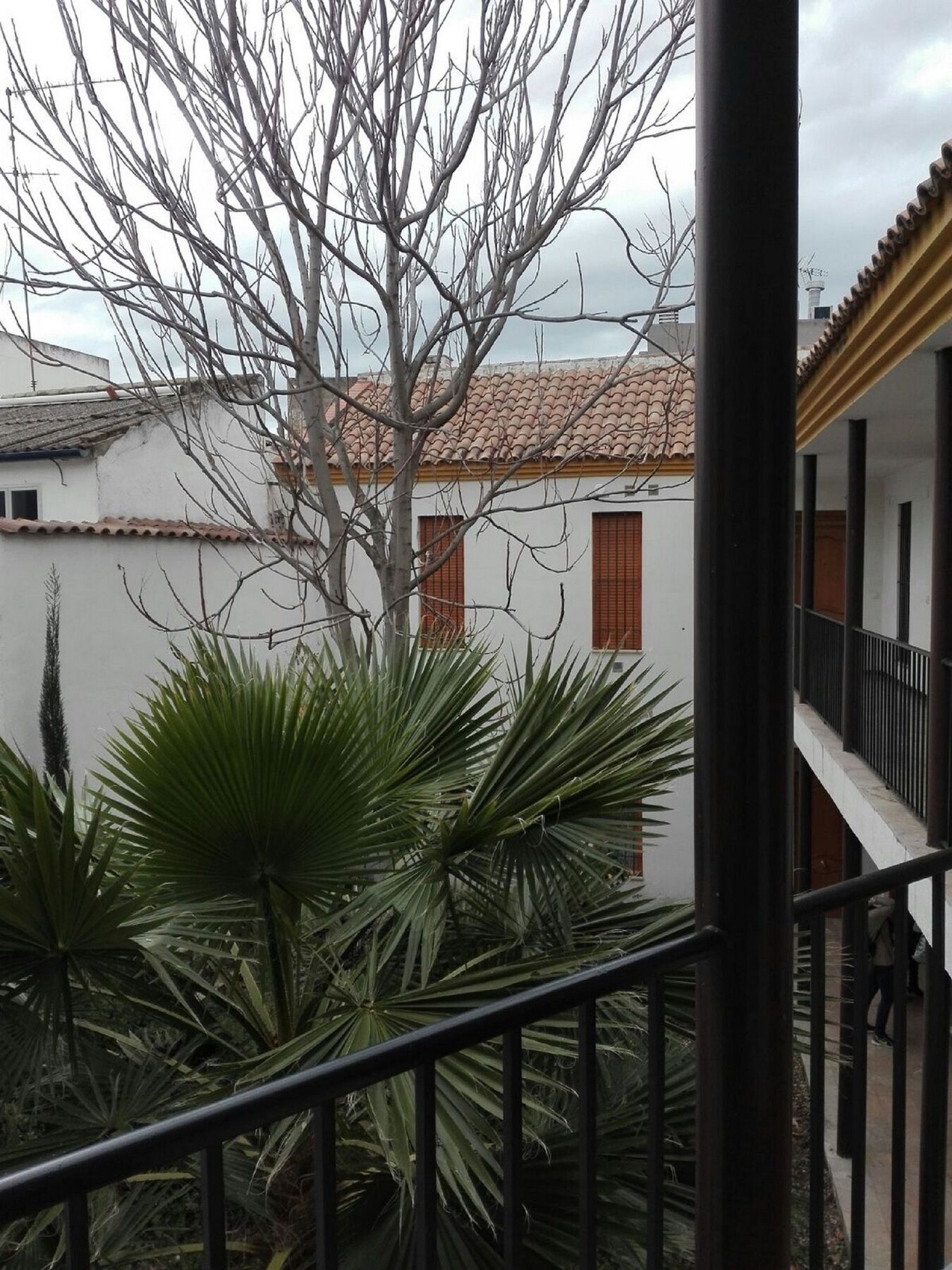 Apartamento Alfonso XII Kordoba Bagian luar foto
